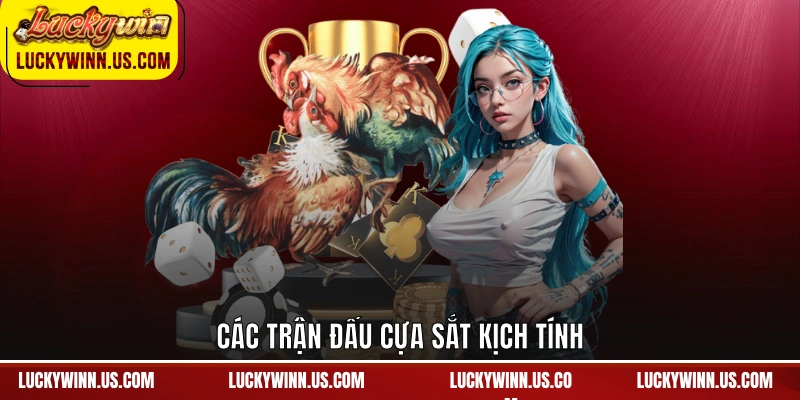 Các trận đấu cựa sắt kịch tính