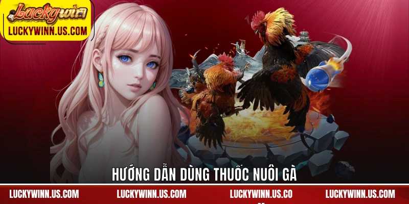 Hướng dẫn dùng thuốc nuôi gà